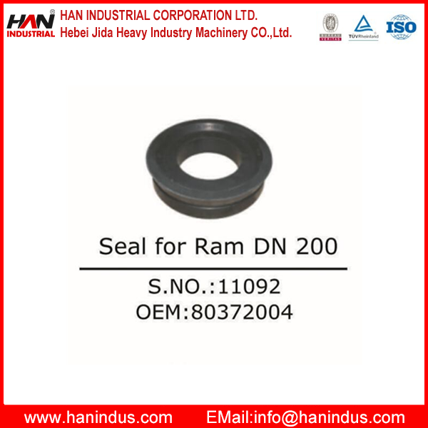  Seal for Ram DN 200