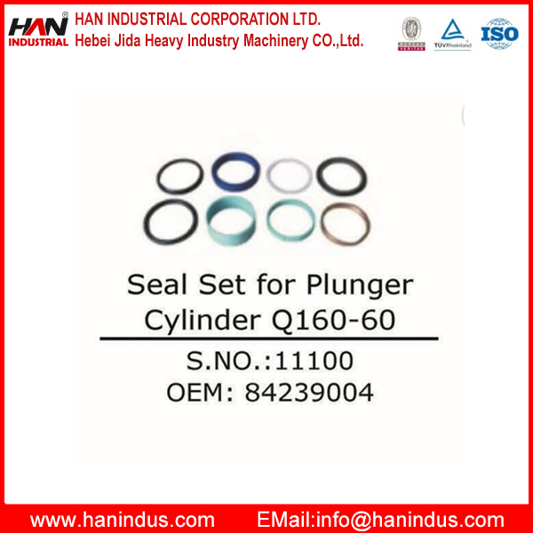 Seal Set for Plunger Cylinder Q160-60 